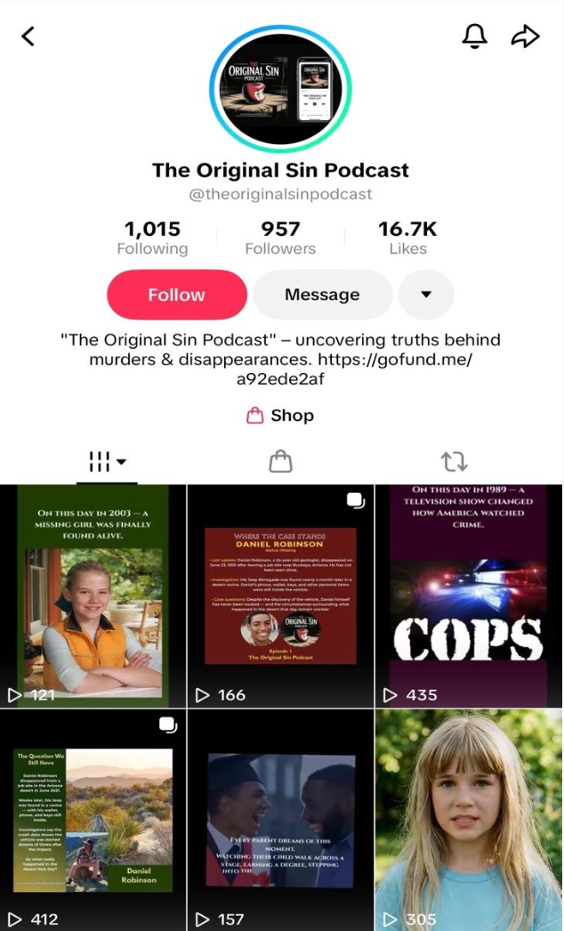 True Crime Story TikTok profile and grid